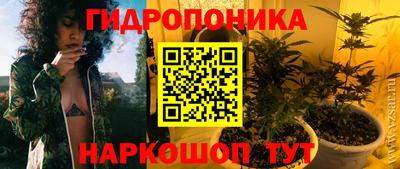 гашишное масло Берёзовский