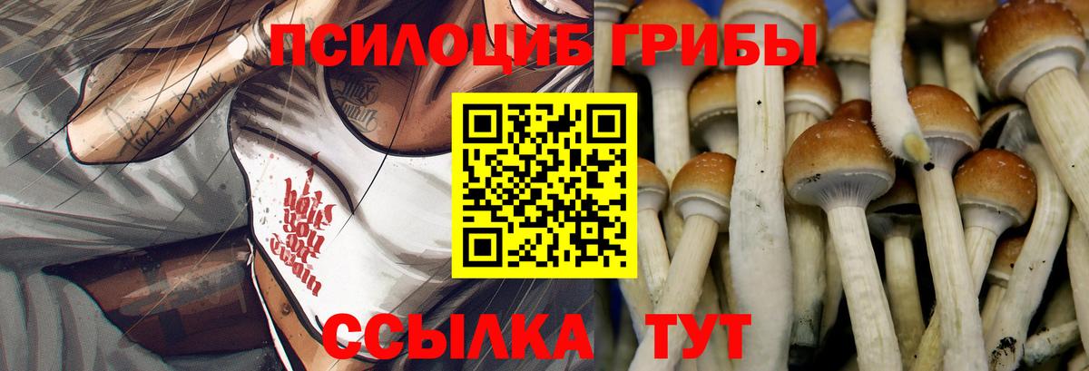 Карачаевск  Псилоцибиновые грибы Magic Shrooms  Вход с VPN 